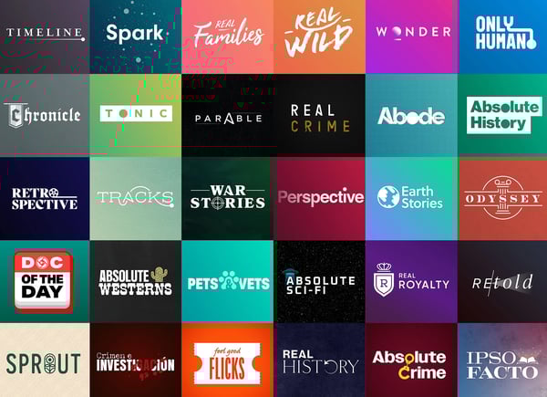 DIGITAL BROADCAST NETWORK