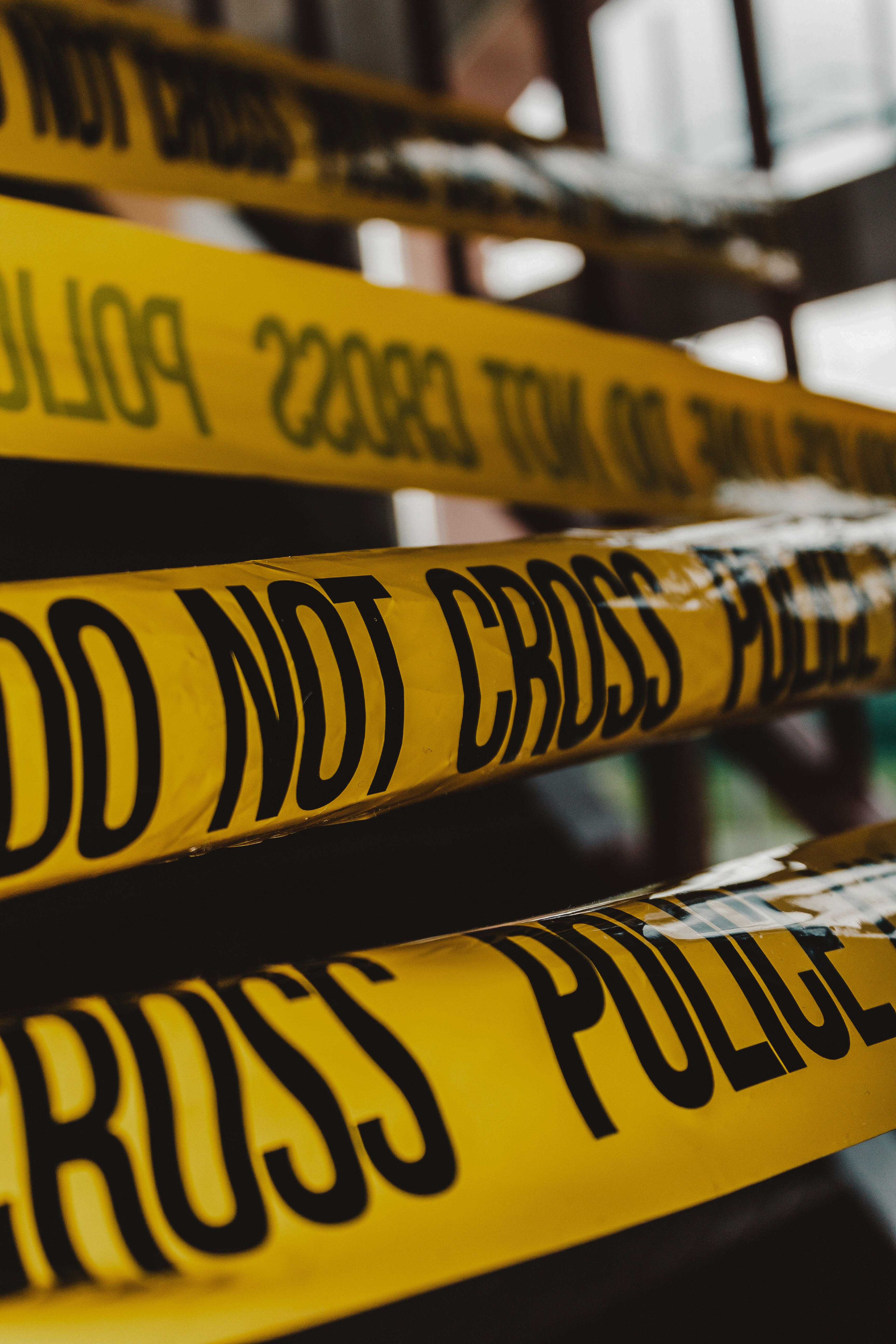 david-von-diemar-jM6Y2nhsAtk-unsplash - Edited