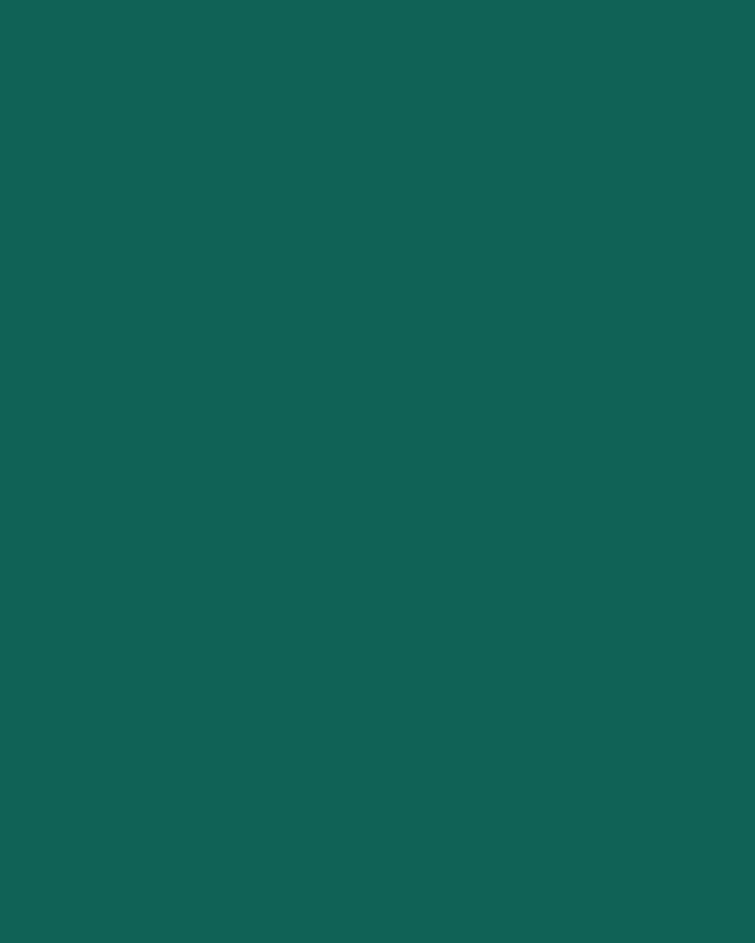 Untitled design (13)