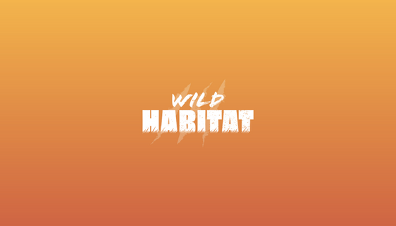 wild-habitat